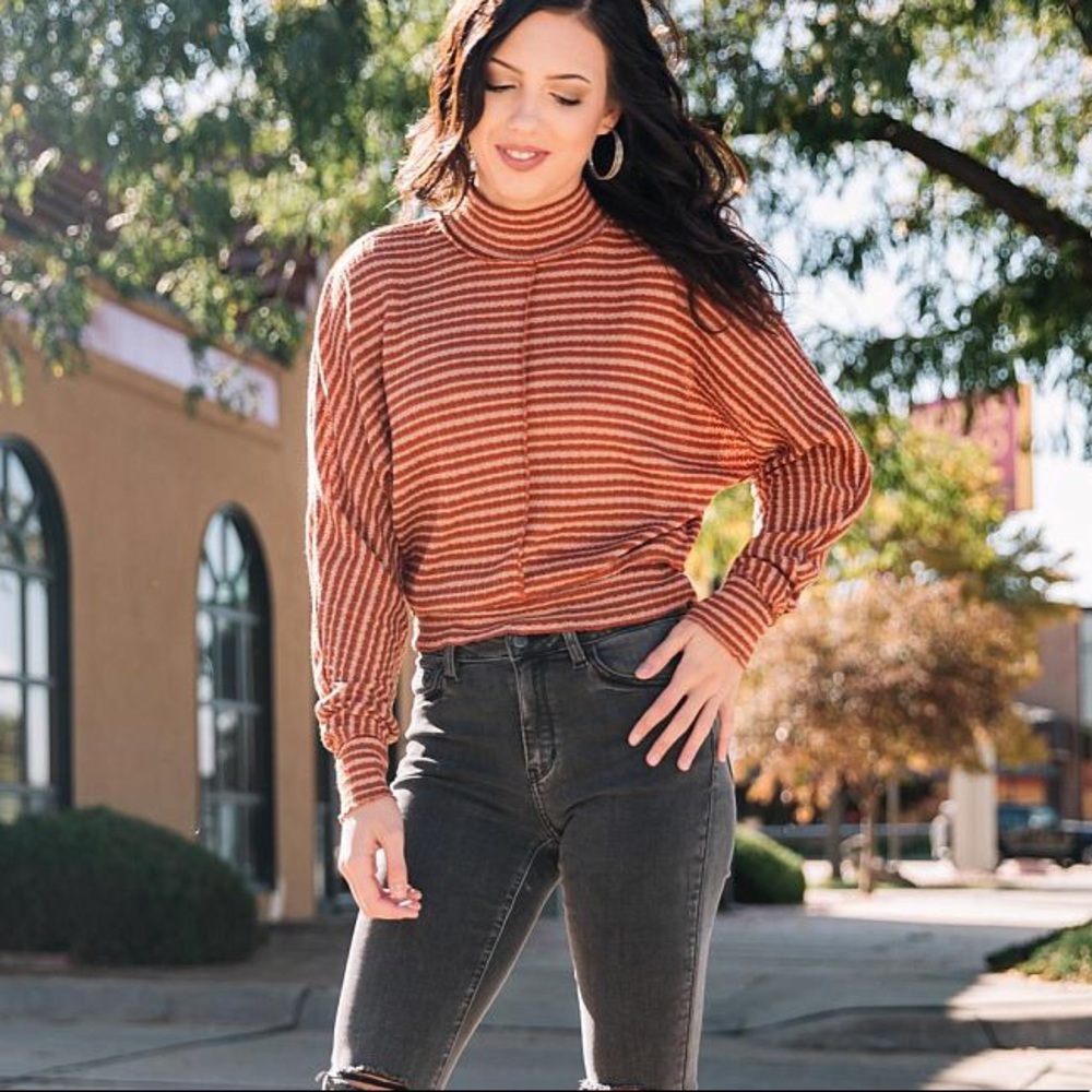 Willow & Root Mock Neck Stripped Top